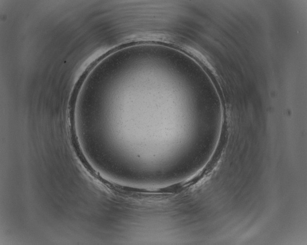 X0000070201133200605301331