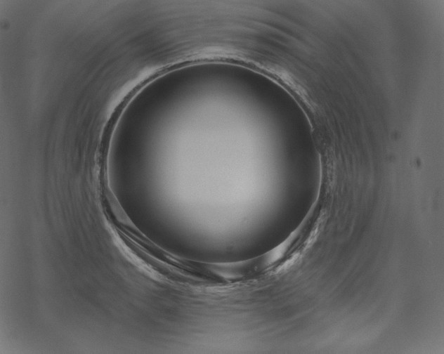 X0000070201134200605301331