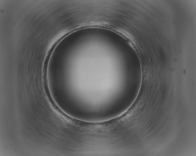 X0000070201135200605301331