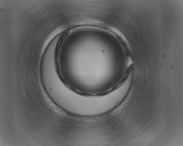 X0000070201138200605301331