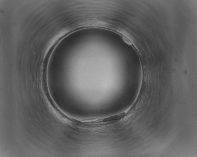 X0000070201139200605301331