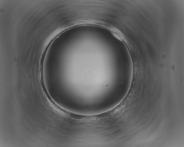 X0000070201143200605301331
