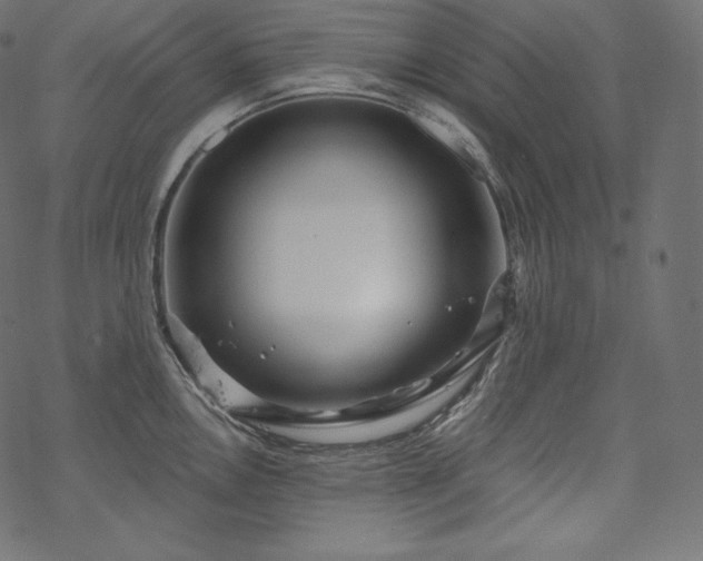 X0000070201146200605301331