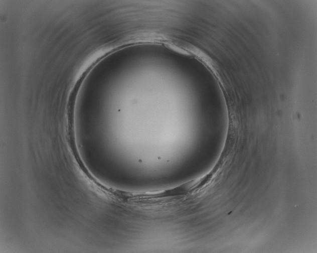 X0000070201147200605301331