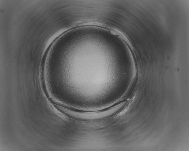 X0000070201149200605301331