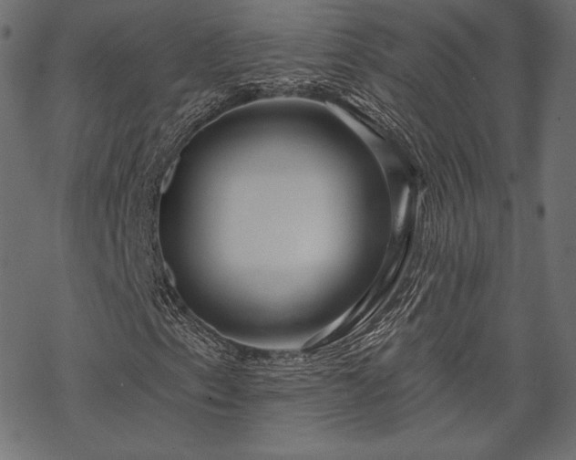 X0000070201153200605301330