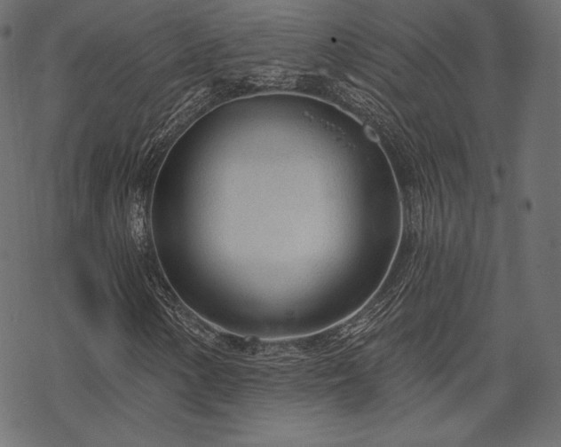 X0000070201154200605301330