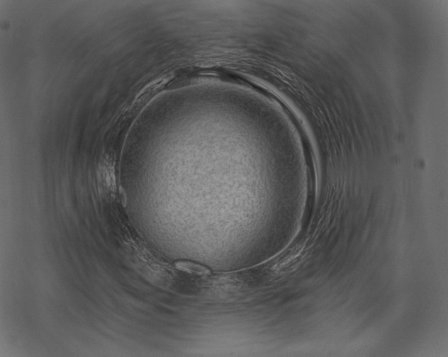 X0000070201155200605301330