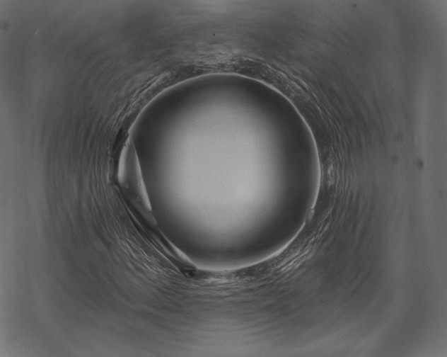 X0000070201156200605301330