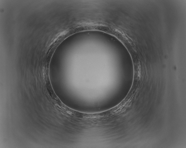 X0000070201157200605301330
