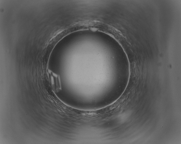 X0000070201158200605301330