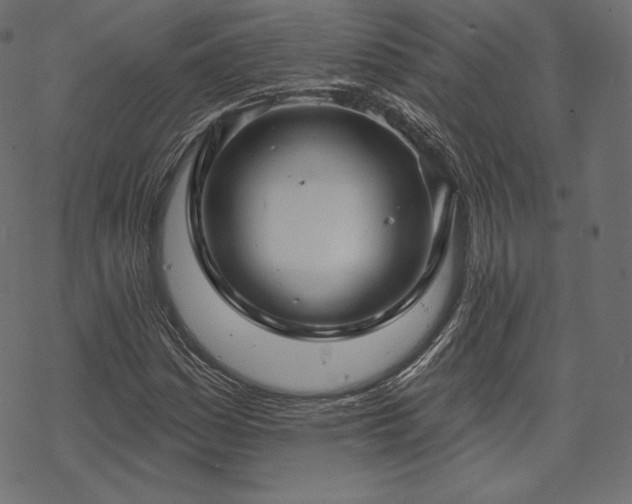 X0000070201161200605301330