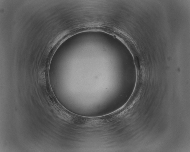 X0000070201162200605301330