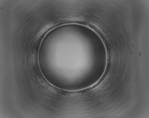 X0000070201163200605301330