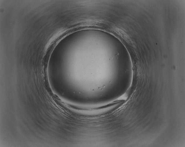 X0000070201164200605301330