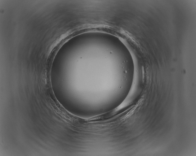 X0000070201165200605301330