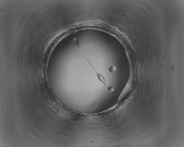 X0000070201166200605301330