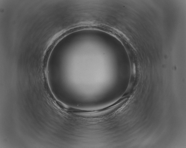X0000070201168200605301330