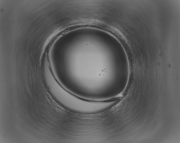 X0000070201172200605301330