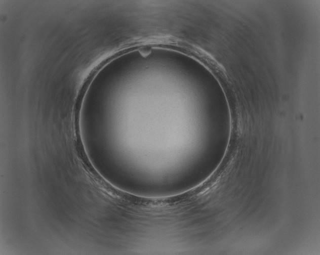 X0000070201174200605301330