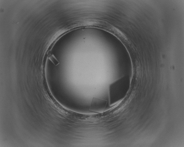 X0000070201178200605301330