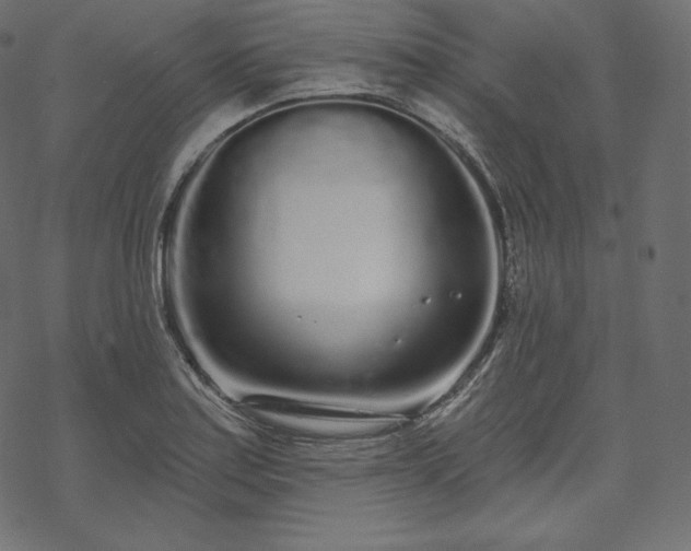 X0000070201179200605301330