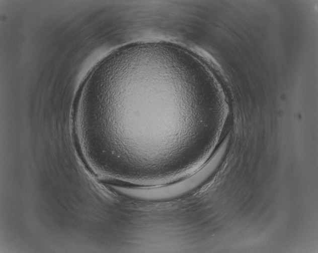 X0000070201183200605301330