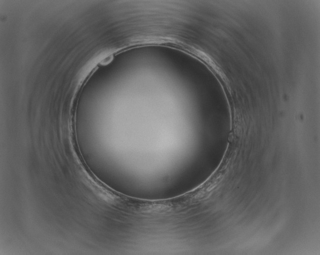 X0000070201187200605301330