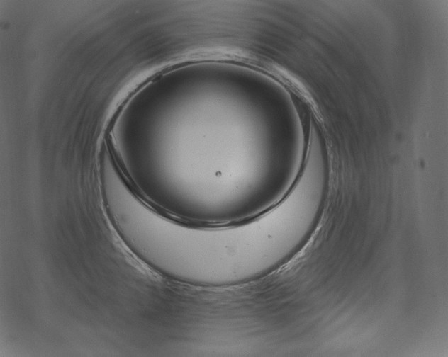 X0000070201192200605301330
