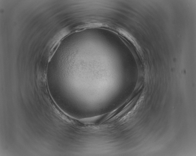 X0000070201193200605301330