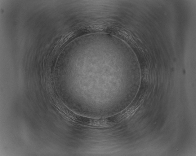 X0000070201201200605301329