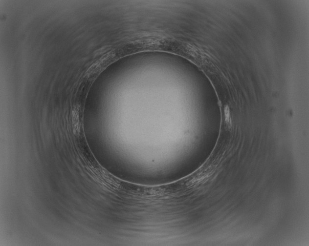 X0000070201203200605301329