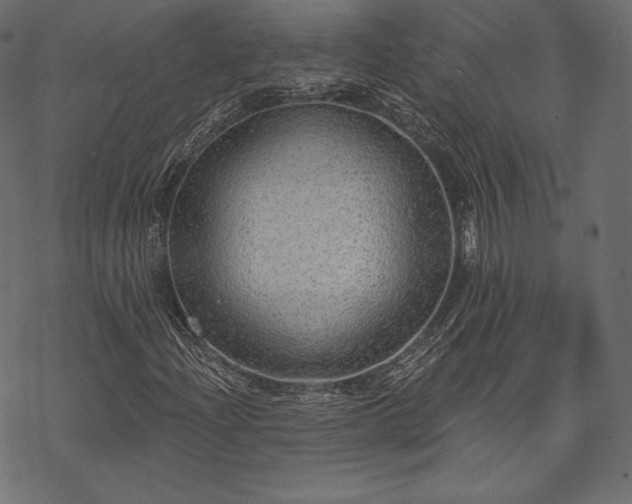 X0000070201204200605301329