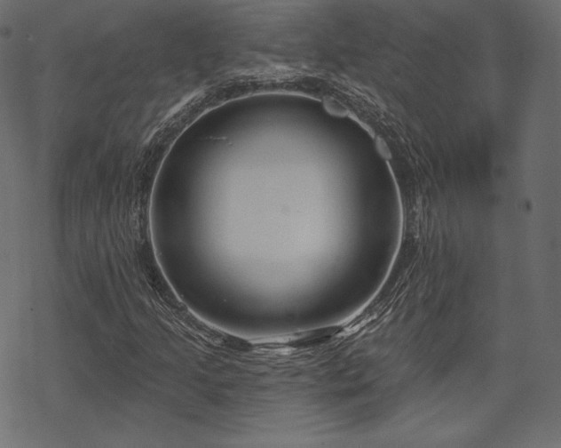 X0000070201205200605301329