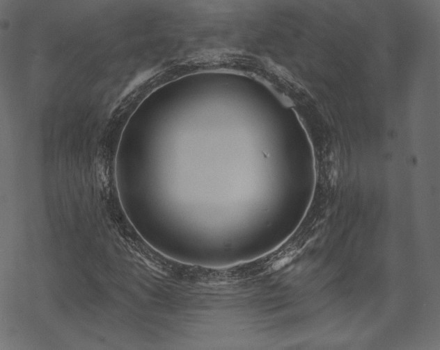 X0000070201206200605301329