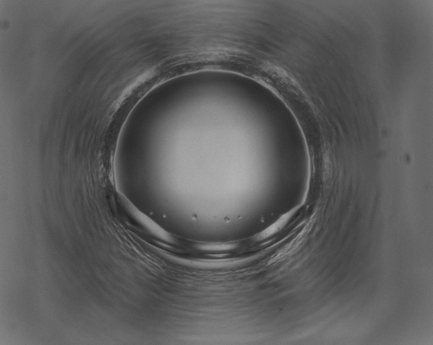 X0000070201210200605301329