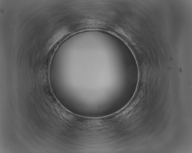 X0000070201211200605301329