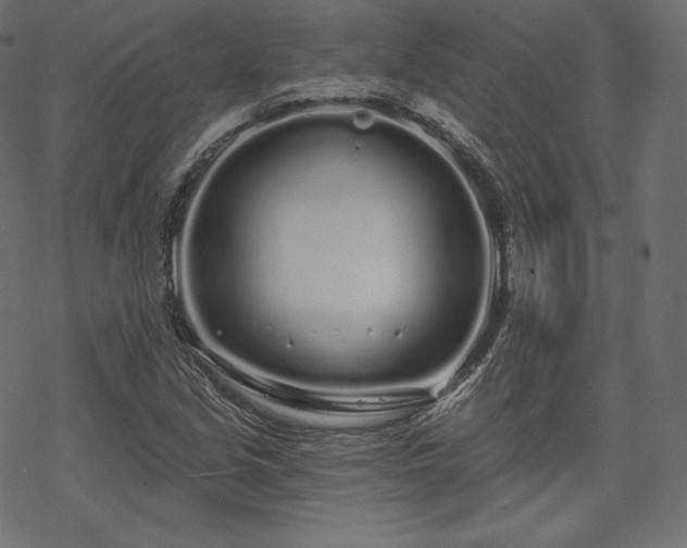 X0000070201213200605301329