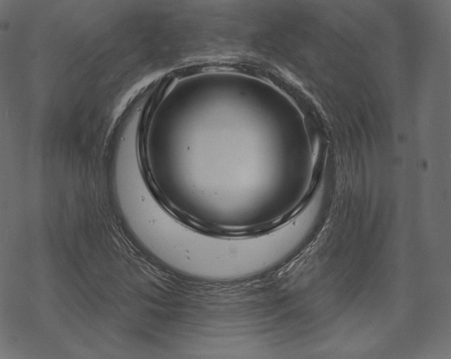 X0000070201214200605301329