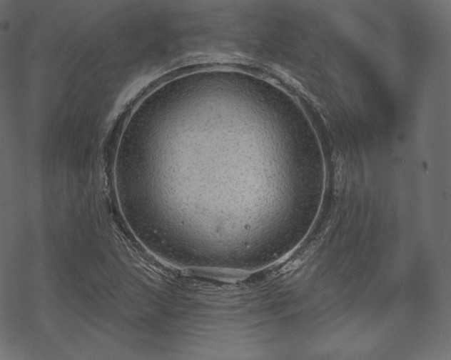 X0000070201215200605301329