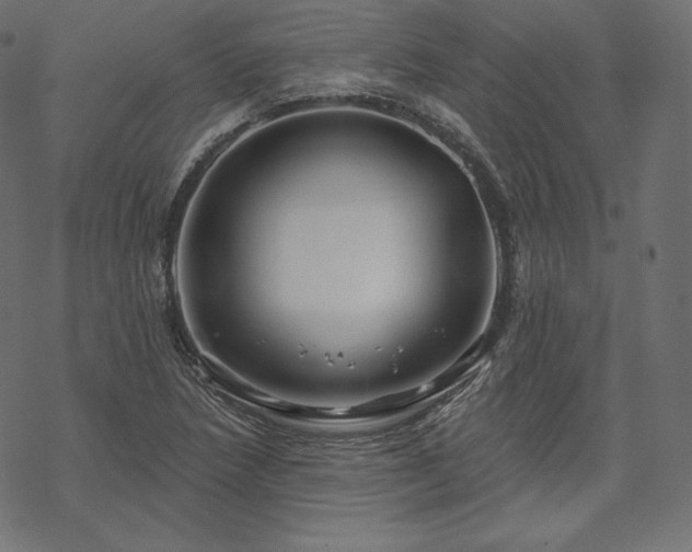 X0000070201218200605301329