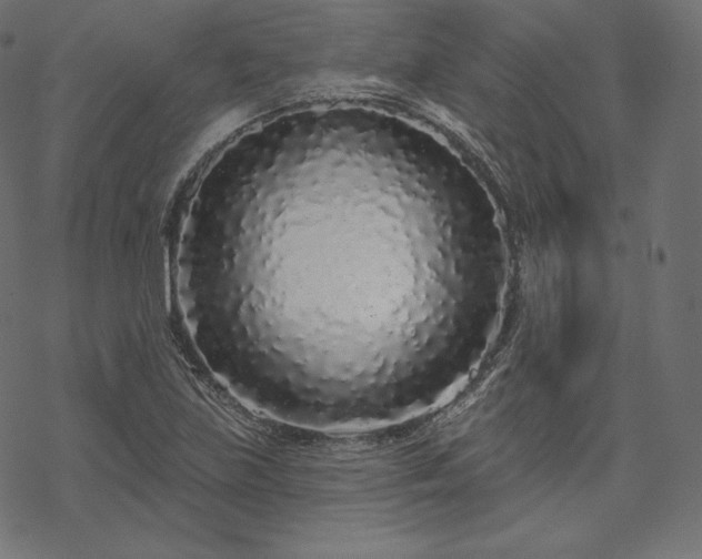 X0000070201219200605301329