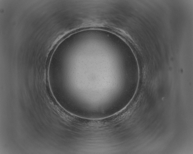 X0000070201220200605301329