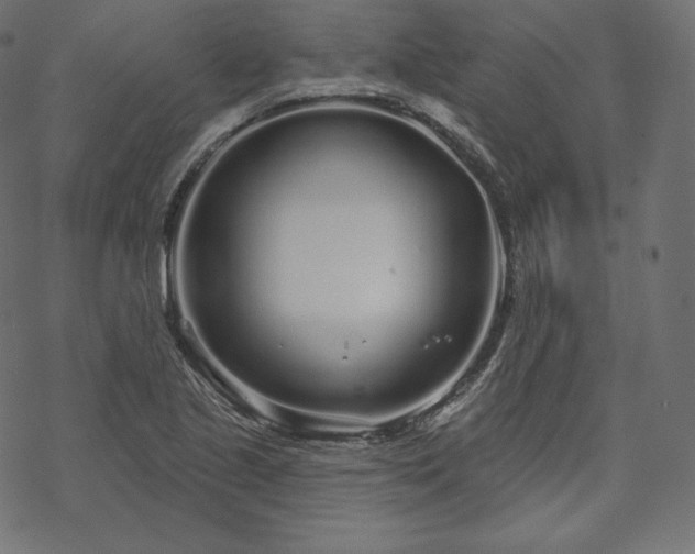 X0000070201221200605301329