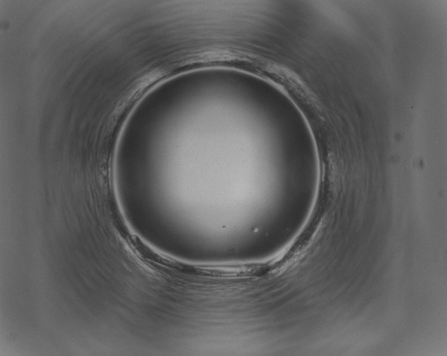 X0000070201225200605301329