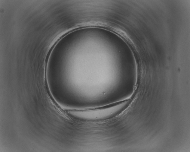 X0000070201228200605301329