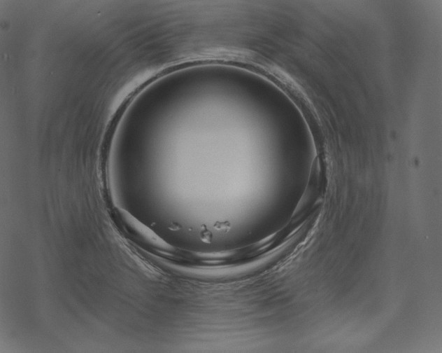X0000070201230200605301329