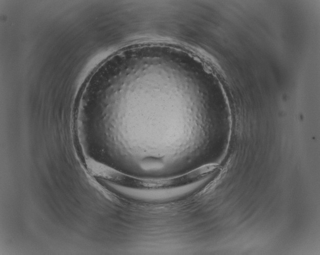 X0000070201231200605301329
