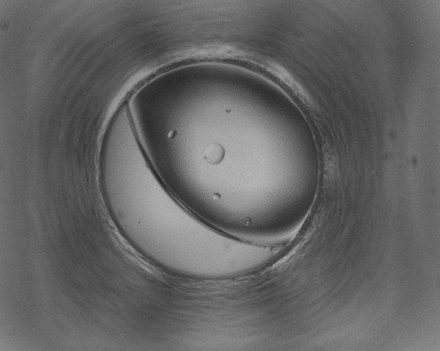 X0000070201232200605301329