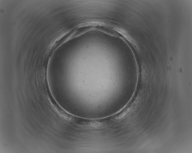 X0000070201233200605301329